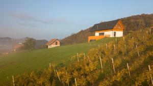 Villa Strtenica in the vineyard