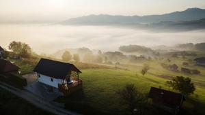 Villa Strtenica in the vineyard