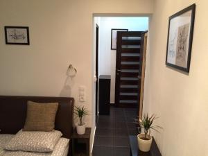 Central King Apartment