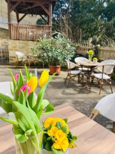 Ferienwohnungen an der Salvatorkirche - Exklusiv-Apartments mit Terrasse