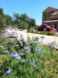 Maisons de vacances le gite de Montagnac : photos des chambres