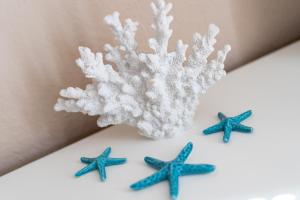 Dünenhus Appartement Dünenhus