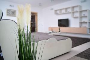 7th Heaven Apartment