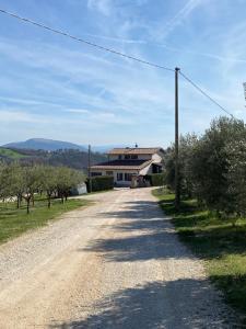 Casa vacanze fra gli ulivi