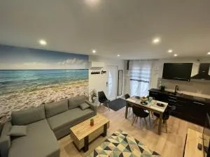 Petit château - 沙萨尼