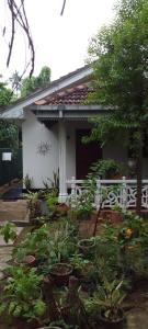 Suveniya Villa