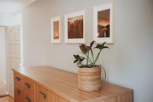 Upės apartamentai I su terasa ir baseinu