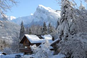 Appartements Au Reve Savoyard 7 : photos des chambres