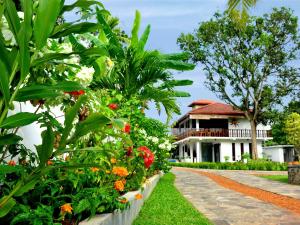 Rockery Villa Ayurveda