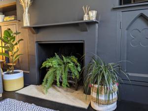 Beautiful seaside Willow Cottage hosted by Whitstable-Holidays