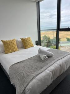 Modern 2 BRM Apt in Williamstown