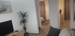 Aconchego Alojamento Local