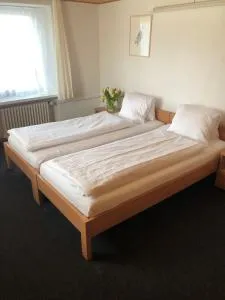 Hotel Restaurant Heidihof - Grüsch