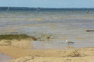 Appartements Reve de Bisca Appartement spacieux avec jardin privatif piscine et parking prives : photos des chambres