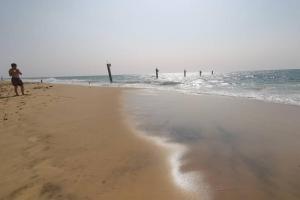 Appartements Reve de Bisca Appartement spacieux avec jardin privatif piscine et parking prives : photos des chambres