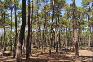 Appartements Reve de Bisca Appartement spacieux avec jardin privatif piscine et parking prives : photos des chambres