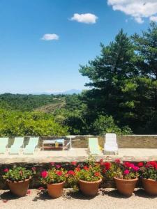 Mas piscine au milieu des vignes avec vue magique