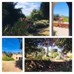 Mas piscine au milieu des vignes avec vue magique