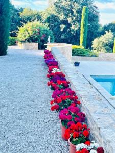 Villas Mas piscine au milieu des vignes avec vue magique : photos des chambres