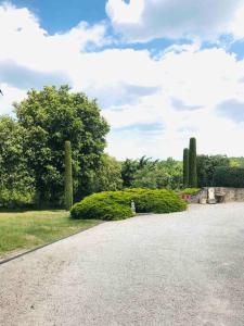 Villas Mas piscine au milieu des vignes avec vue magique : Villa