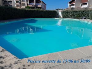 Appartements Joli 2 pieces sur le port avec piscine, terrasse, parking : photos des chambres