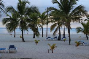 Your Little Paradise - Juan Dolio