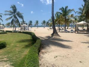 Your Little Paradise - Juan Dolio