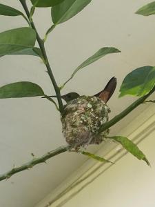 Villa frente al mar Caribe con piscina