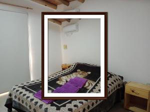 Cabañas Florida Del Sur