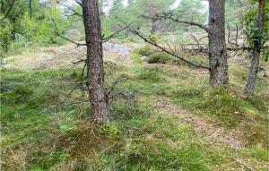 Awesome Home In Kvillsfors With Wifi