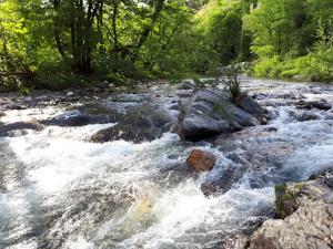 B&B / Chambres d'hotes Le mas des sources cevenol : photos des chambres