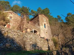 B&B / Chambres d'hotes Le mas des sources cevenol : photos des chambres