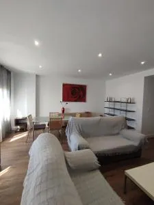 APARTAMENTO ANCHA CENTRO - Tocon