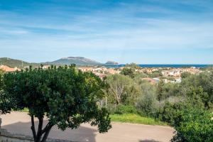 Sea Shell - Klodge img40