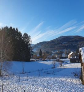 Chalets Chalet les Boudieres 6 pers pres Gerardmer Cosy Billard : photos des chambres