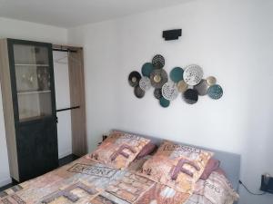 Appartements VILLA TERRE NEUVE : photos des chambres