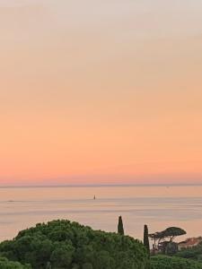 Studio avec coin nuit