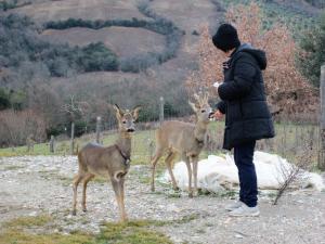AGRITURISMO PODERUCCIO