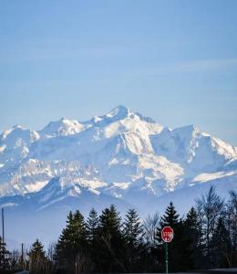 Appartements Le chamois : photos des chambres