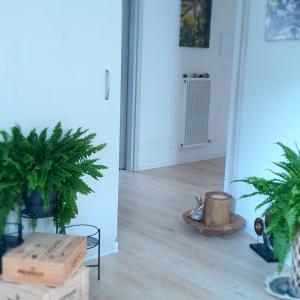 Appartment Lodged Mamma Maria