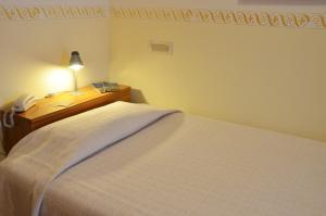 Economy Single Room room in Hotel Ristorante Serena