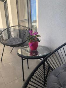 Apartament Timisoara 4