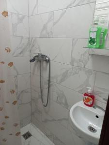 Смарт студио на шевченка 60 семицвіт