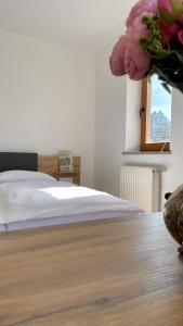 Apartments Katrca Bežigrad