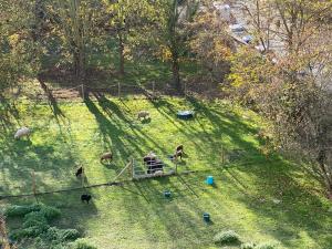 Appartements Issy - les jardins du seminaire : photos des chambres