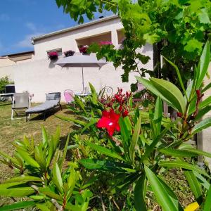 Maisons de vacances Alaric Lodge: gite champetre avec parking prive. : photos des chambres