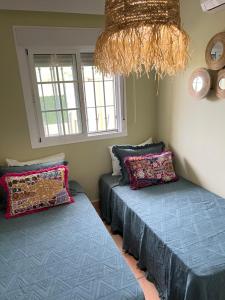 Casa piscina Playa Barrosa Delfin 6