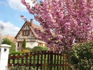 B&B / Chambres d'hotes Chambres d'Hotes Au Temps Des Cerises : photos des chambres