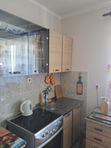 KolasinApartman Luis