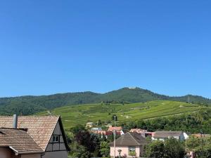 Appartements Aux portes de Colmar terrasse,parking : photos des chambres